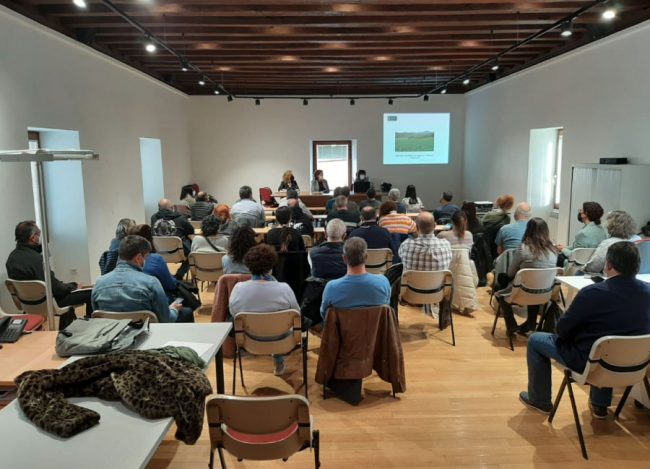 reunion-concejos-acovi